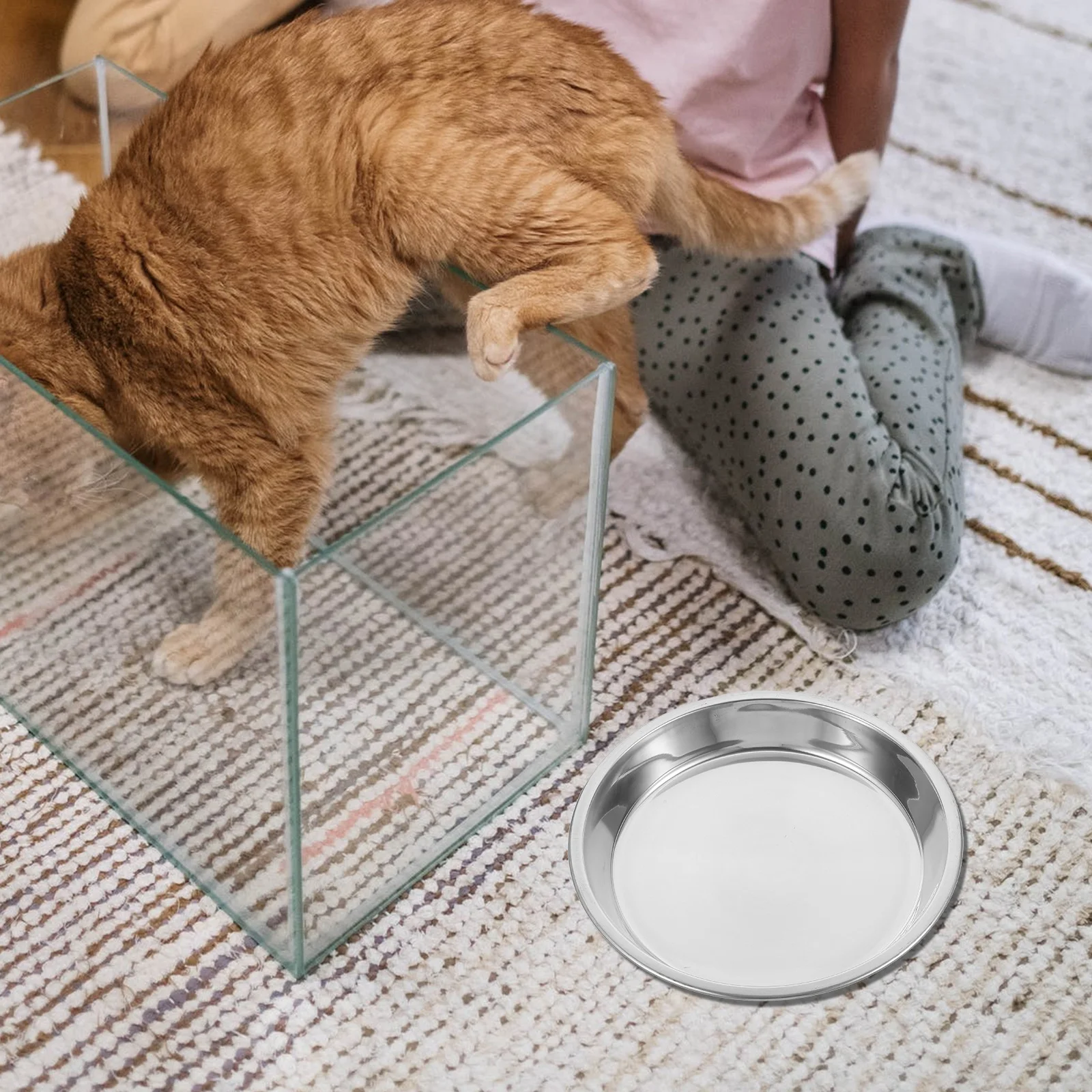 

4Pcs Stainless Steel Cat Bowls High Quality Non-Breakable Pet Feeding Bowls Shallow Design Ideal for Cats Kitten Daily Use