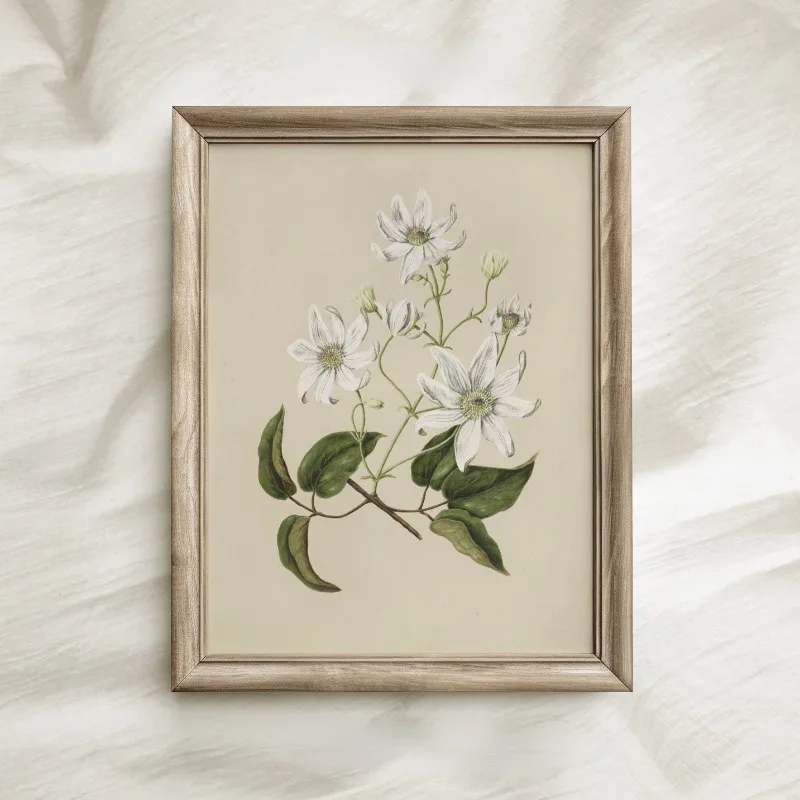Vintage Beauty Style Botanical Flower Floral Gallery Art Poster Canvas Painting Wall Prints Picture for Living Room Home Decor