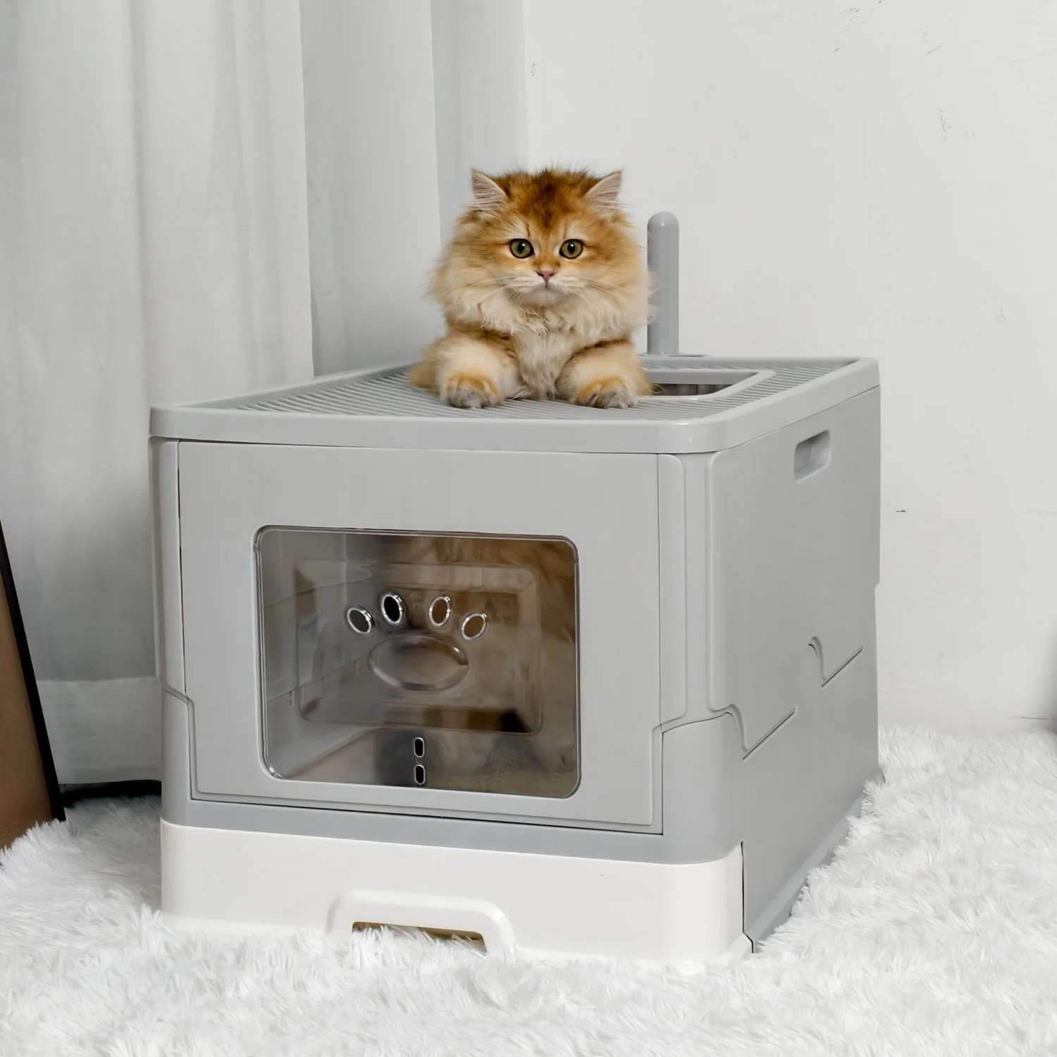 yZ[zoLgC XRbvt Rh~ tgGg[ gbvGOWbg LpgCg[ ȒP|