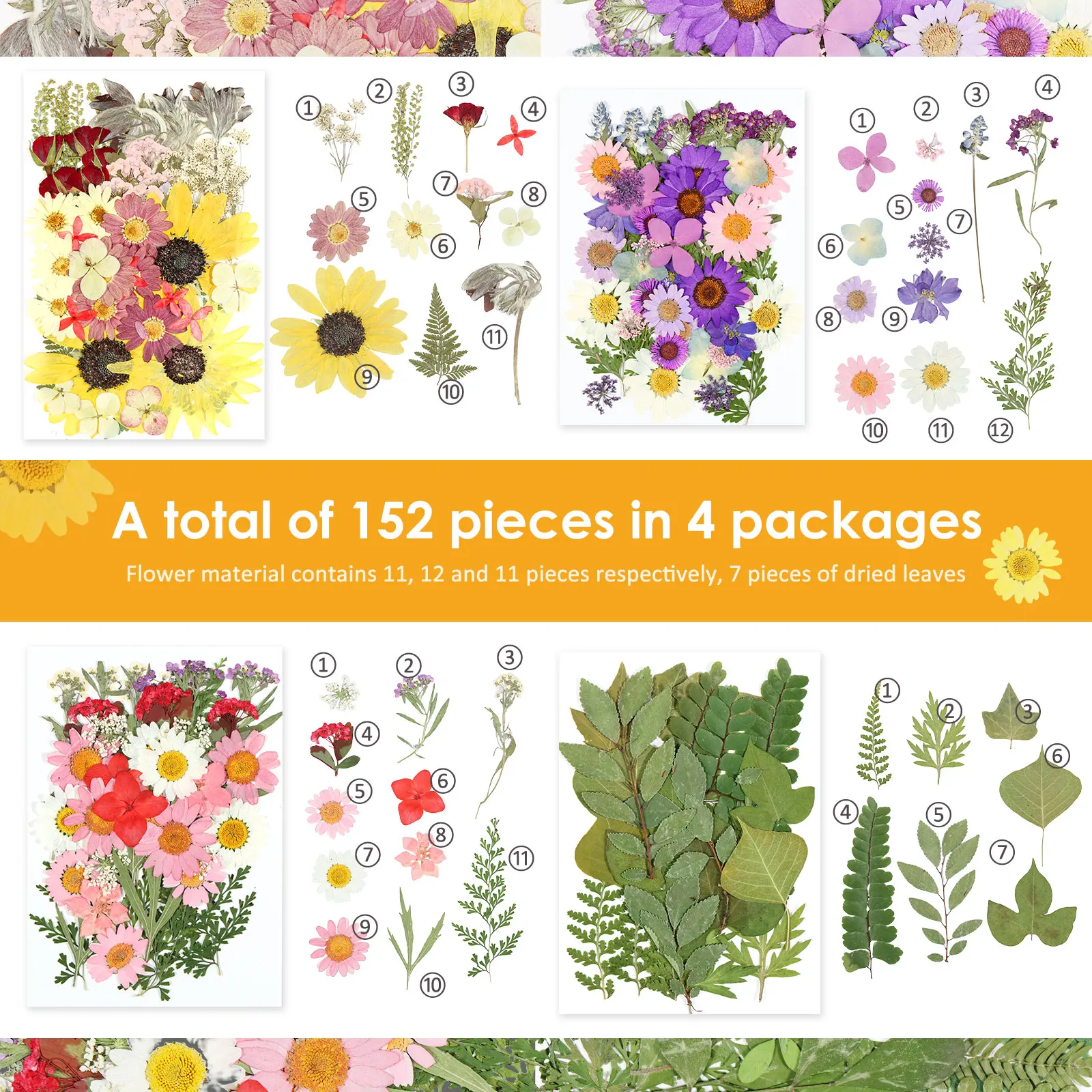 152 Pcs Dried Pressed Flowers for Resin Real Pressed Flowers Natural Dry Flowers and Dry Leaves Bulk Multipurpose Dried Flowers