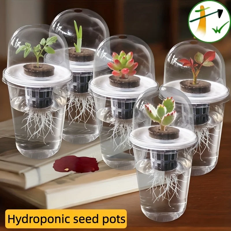

Transparent Hydroponic Seed Starter - Aerating Cylinder Planter for Veggie & Flower Seedlings. Indoor/Outdoor.