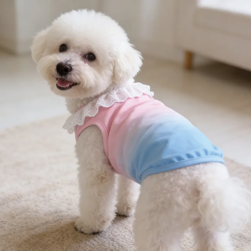 Sweet Dog Clothes Summer Lace Neckline Gradient Hoodies Shirt For Small Dogs Shih Tzu Dachshund Puppy Sleeveless Sweatshirt Vest