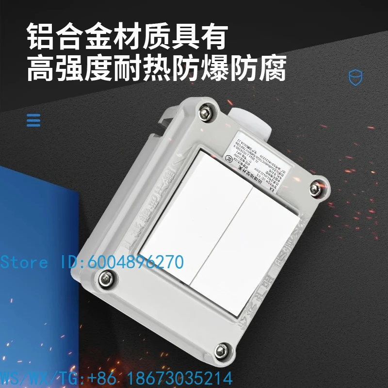 Explosion-proof wall switch 220V light and dark installation 10A single connection double connection three or four connection