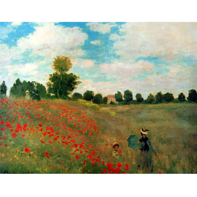 

100% handmade Oil Painting Reproduction on linen canvas with Museum quality,Field of Poppies,Argenteuil by Claude Monet