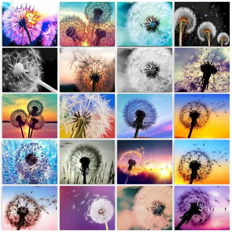 

GATYZTORY 40x50cm Painting By Numbers Handmade Acrylic Paints Colored Dandelion Wall Art Adults Crafts Picture Coloring On Canva