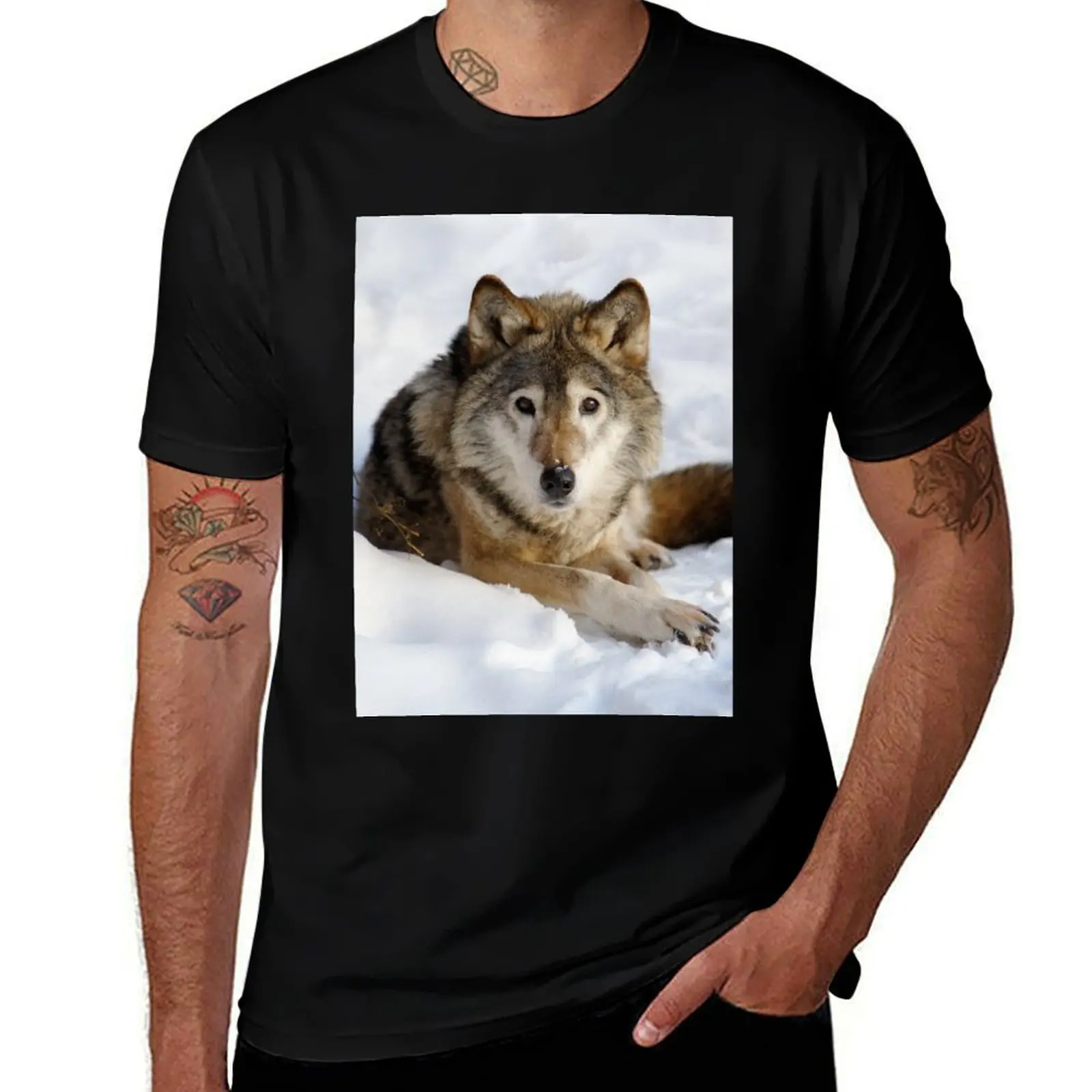 Wolf (canis lupus) portrait T-Shirt Breathable Workout Short Sleeve Top T-Shirt