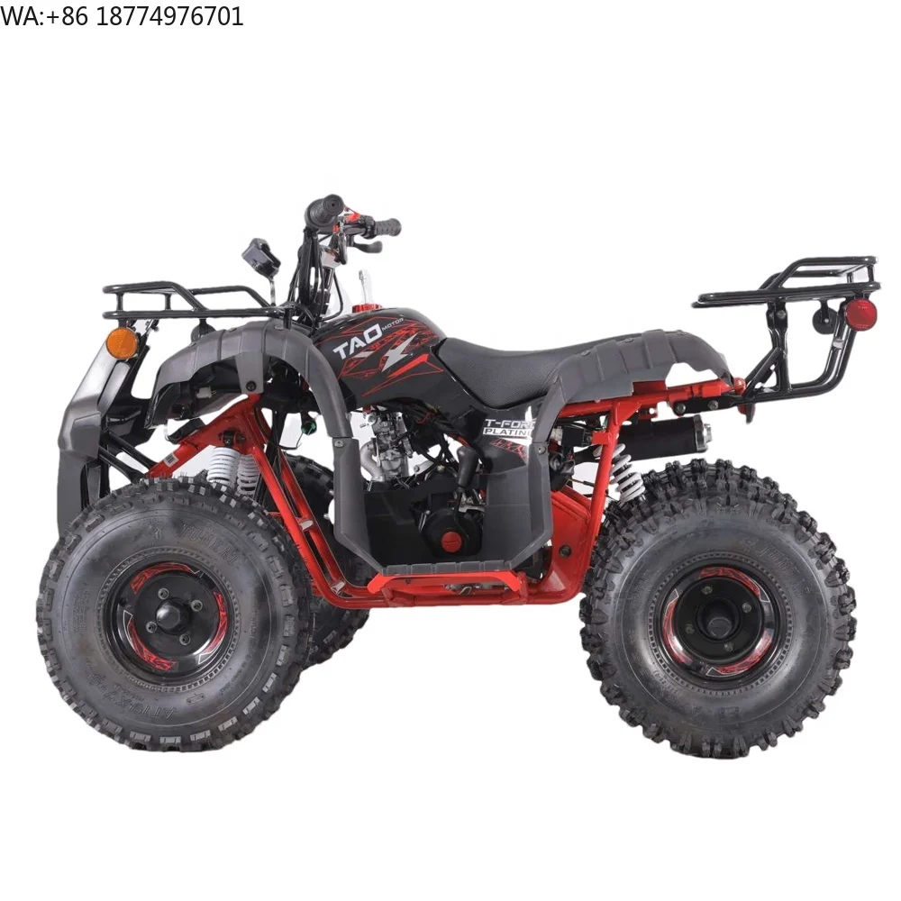 Tao Motor Best Selling 2021 Chinese 110cc ATV Parts Kits 110cc ATV for Sale
