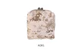 AOR1