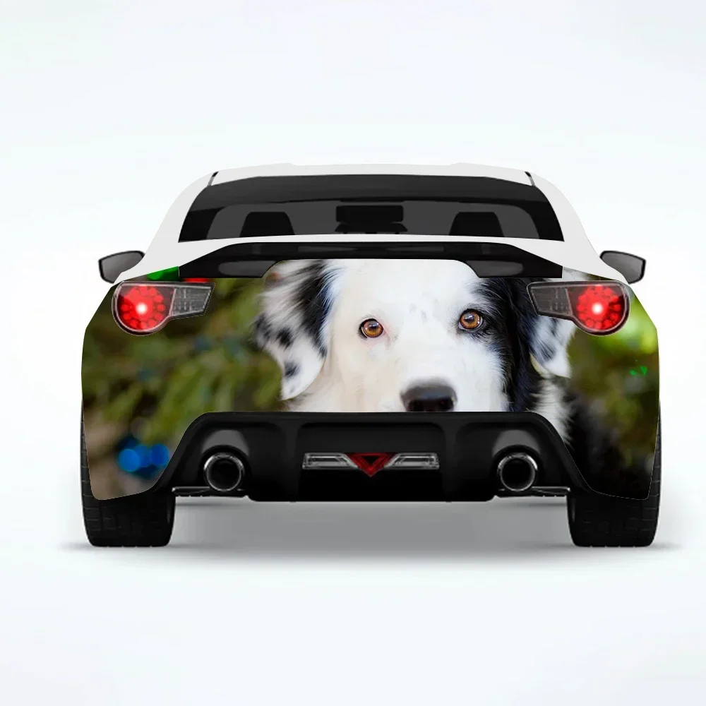 Border Collie Dog Car Rear Wrap Car-Stickers Car-Decal Creative Sticker Car-Body Appearance Modification Decorative Stickers