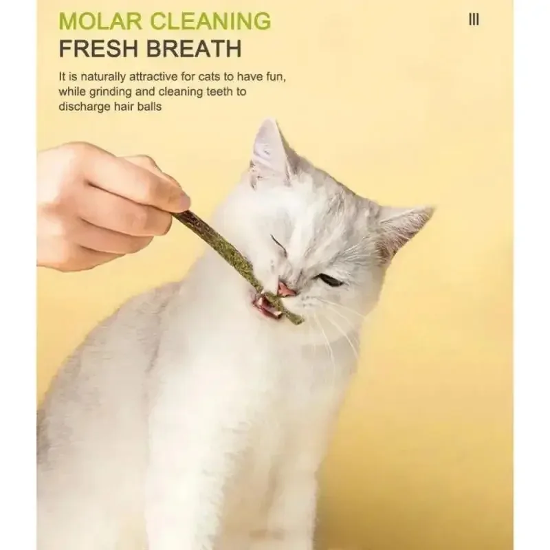 1-3pcs Natural Catnip Pet Cat Molar Toothpaste Stick Cat Snacks Sticks Pet Cleaning Teeth Cat Toys Silver Vine Pet Toy