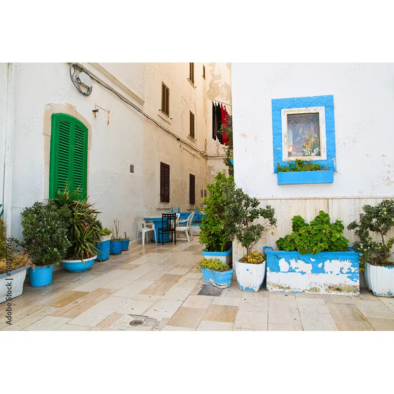 NITREE Streets Seaside Island Scenery and Plants Houses White Pigment Wedding Photos Photography Background Props HJD-02