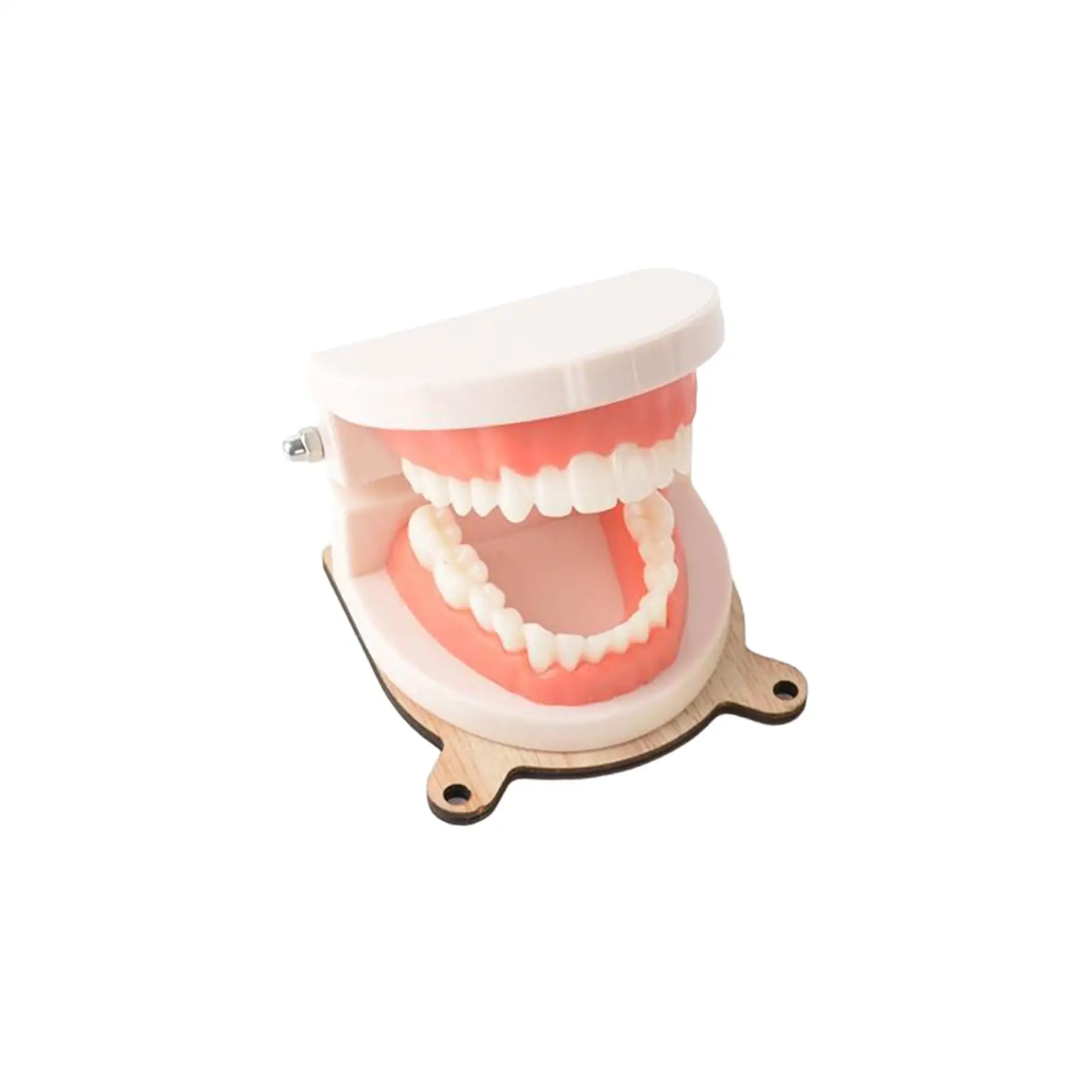 

Детская практичная модель для чистки зубов, доска для базовых жизненных навыков, Дошкольная игрушка для мальчиков и девочек