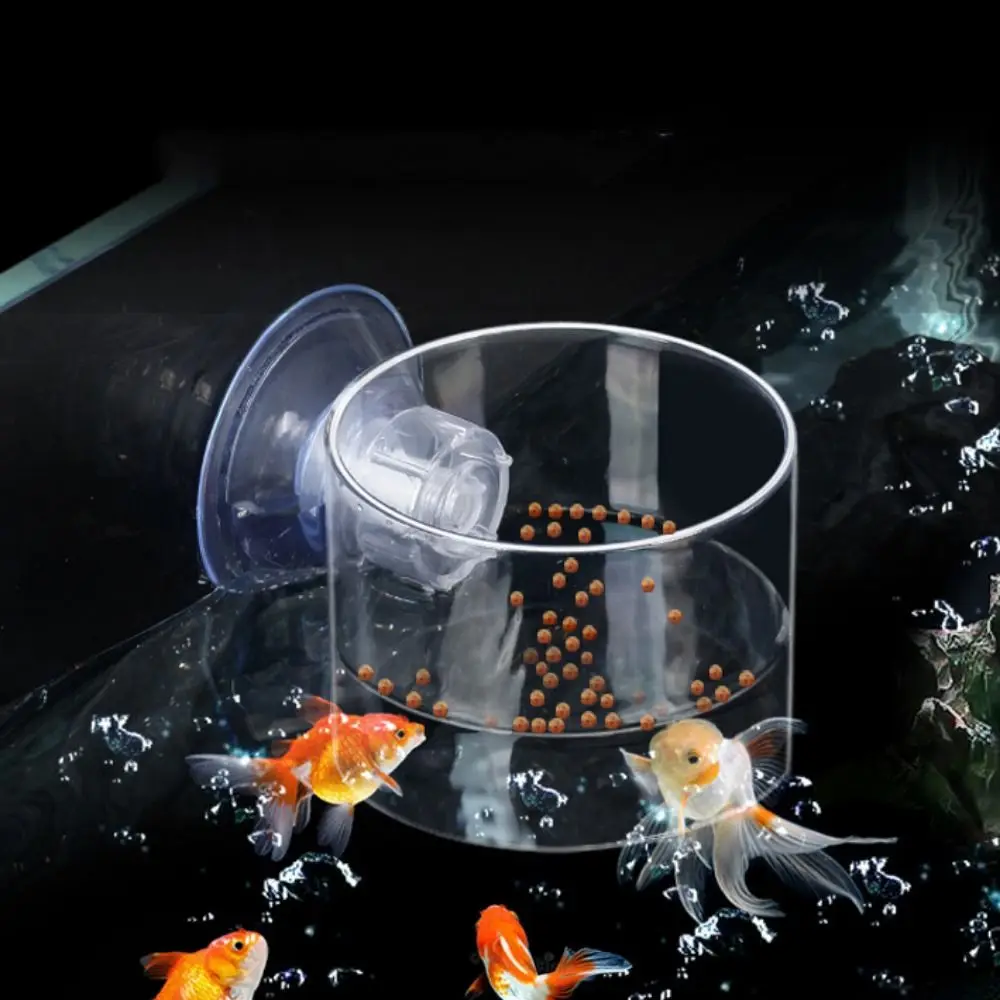 Rectangle/Round Aquarium Suction Cup Feeder Transparent Acrylic Acrylic Aquarium Fish Feeder with Suction Cup Fixed-Point