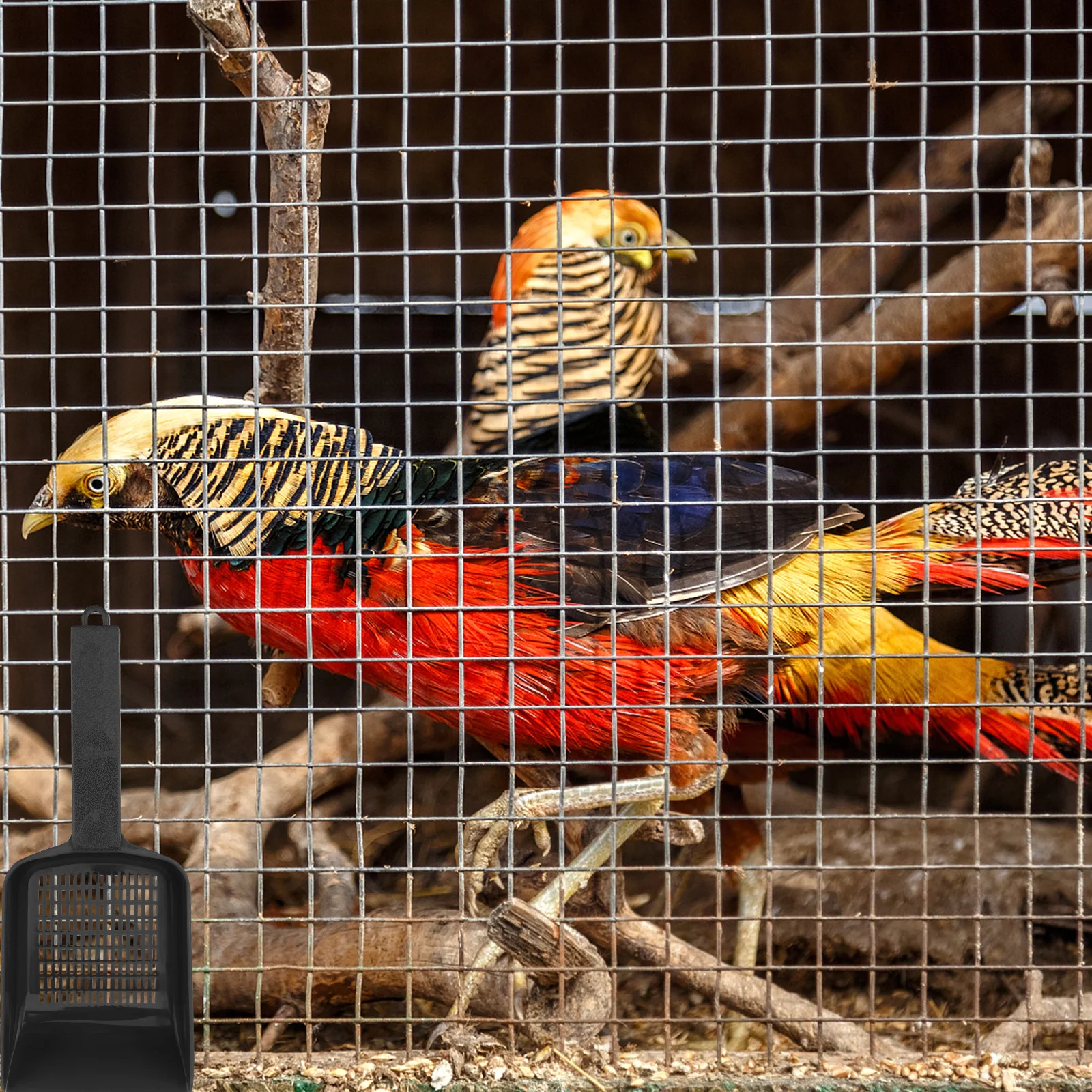 

2pcs Reptile Sand Shovels Durable Litter Cleaner For Excrement Cleaning Reptile Box Corner Scoop Mesh Sifter Plastic Pet