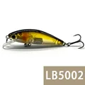 LB5002