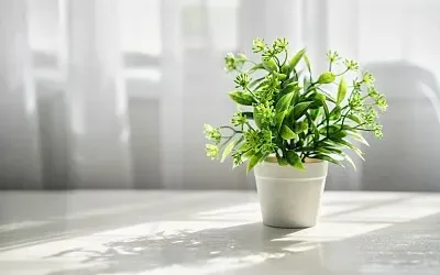 

1.9 Inch RC Crawler Wheels Tires Set 12mm Hex Upgrades Fits TRX4 SCX10 TRX6 Capra Enduro Gen8 Wraith Axial Trxs Redcat HSP