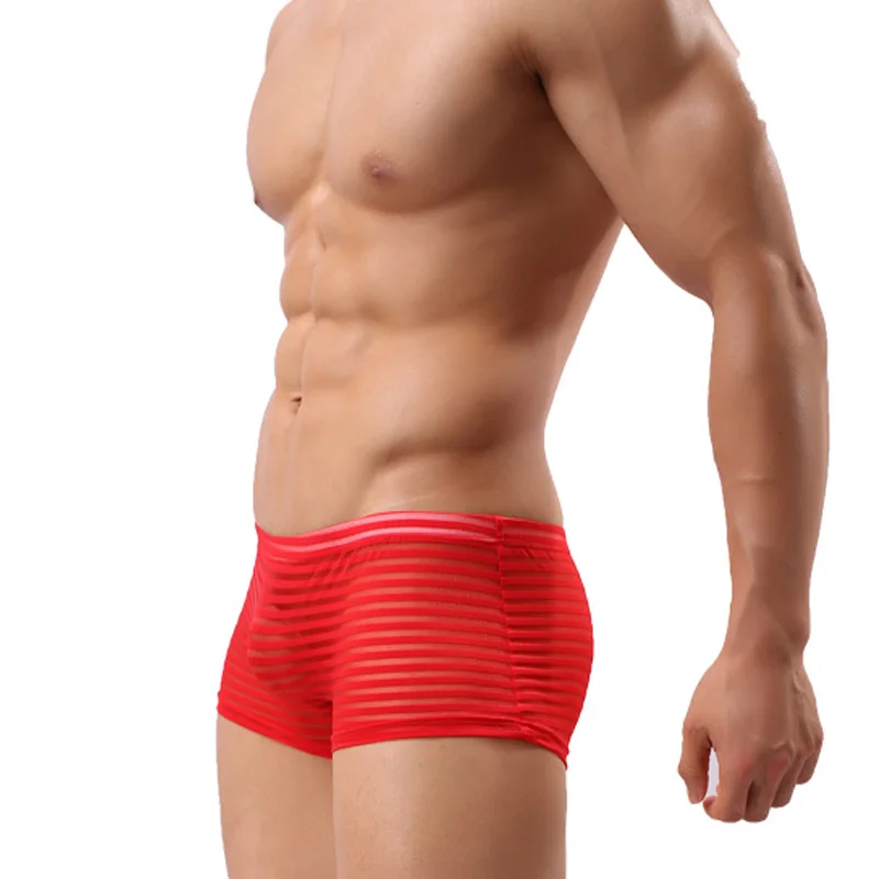 Men\'s Sexy Underwear See Through Breathable Mesh Boxer Shorts Transparent Striped Underpants Comfortable Male Hombre Thin Soft