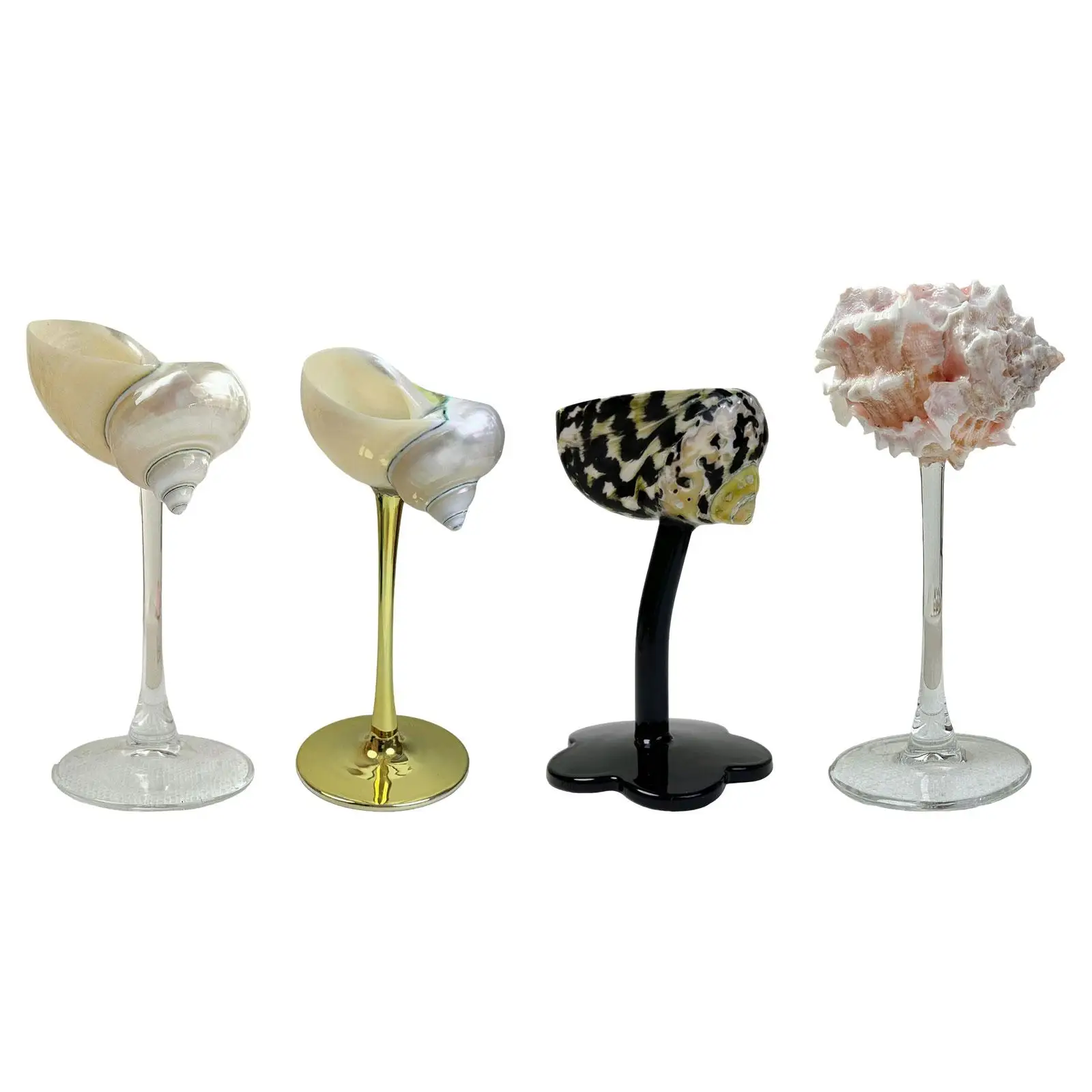 Conch Shell Champagne Glass Cup,Goblet,Cocktail Drinkware,Champagne Cup,Gifts