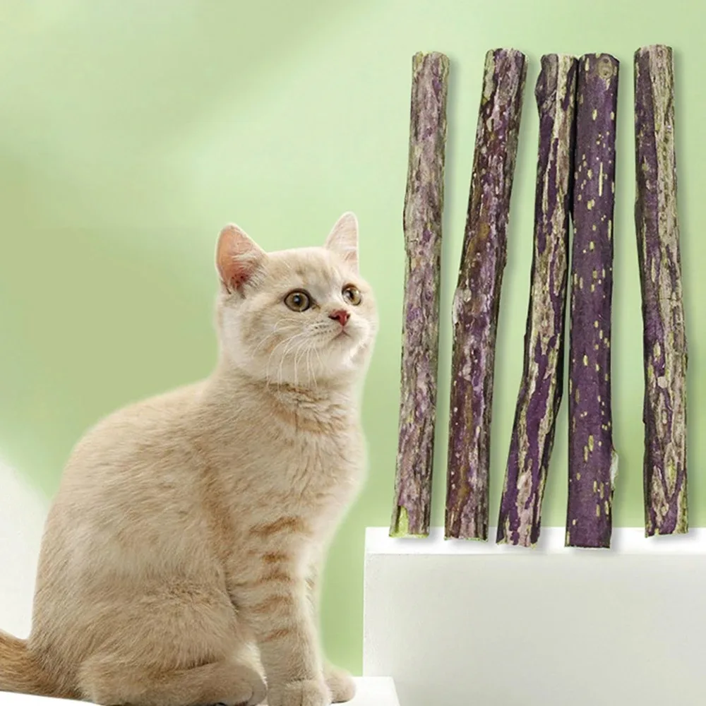 15pcs Natural Matatabi Cat Catnip Toy Kitten Molar Chew Stick Pet Cleaning Teeth Cat Treat Toy Actinidia Silvervine Pet Products