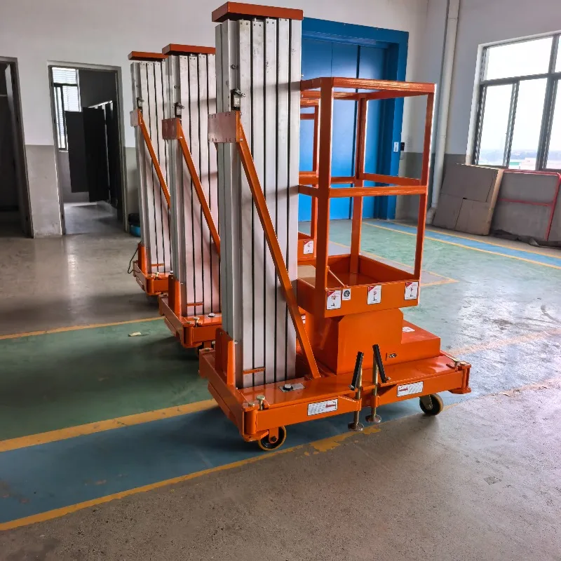 Customized AWP6-1000 AC DC 6m Aluminum Single Mast Electric Hoist 150kg 650*600 Platform Light Duty For Indoor Ceiling Maintenan
