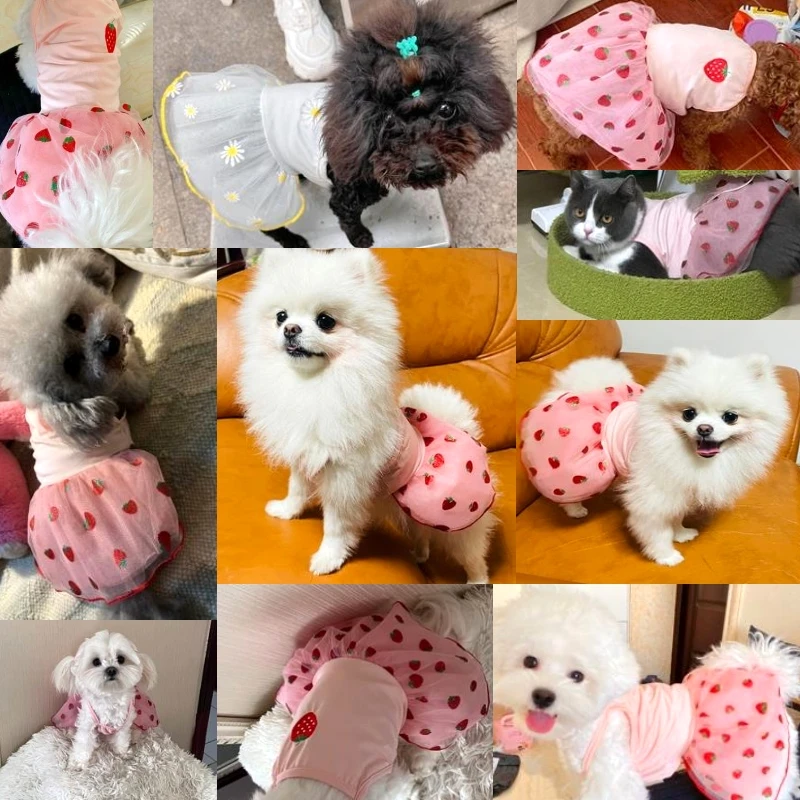 Lace Dog Strawberry Skirt Summer Dog Dress Luxury 2024 Dog Clothes Dog Princess Dress Chihuahua Bichon Korean New Puppy Costume