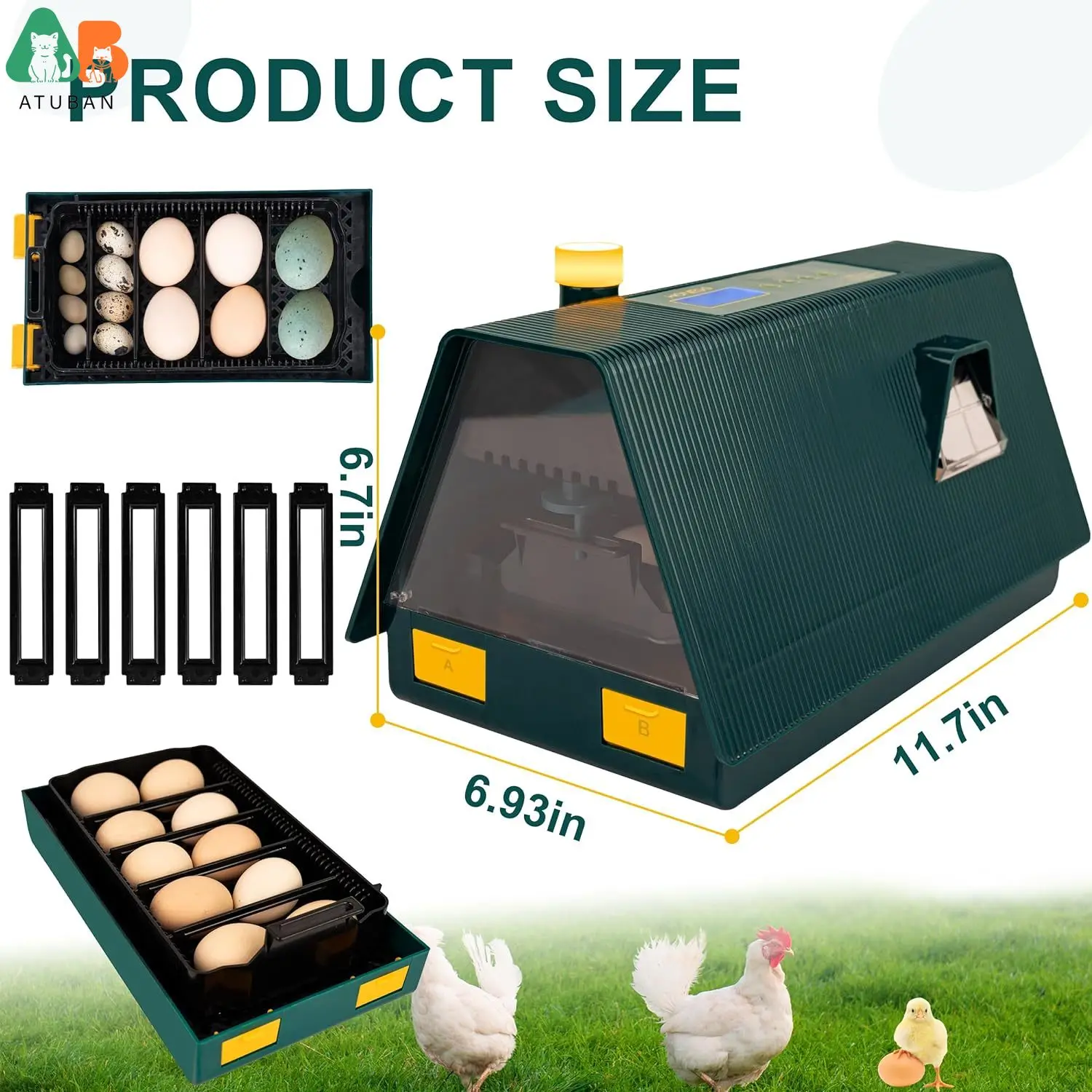 Imagem -05 - Incubadora de Ovos com Controle de Temperatura Candler para Incubação Chicken Duck Pigeon Quail Clear Window Detém 822 Ovos