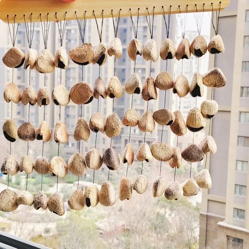 Plant Nut Shell Bell Natural Outdoor Wind Chimes Sound Healing Meditation Hand Musical Bells Diapason Percussion Instruments