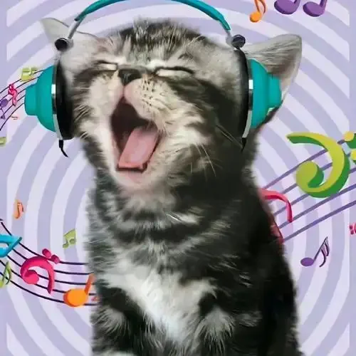 

Ручка для краски подходит для Geely Coolray Bin Yue, фиксатор краски, уверенность, белый контейнер Yue, автомобильные принадлежности, модификация, аксессуары, черный