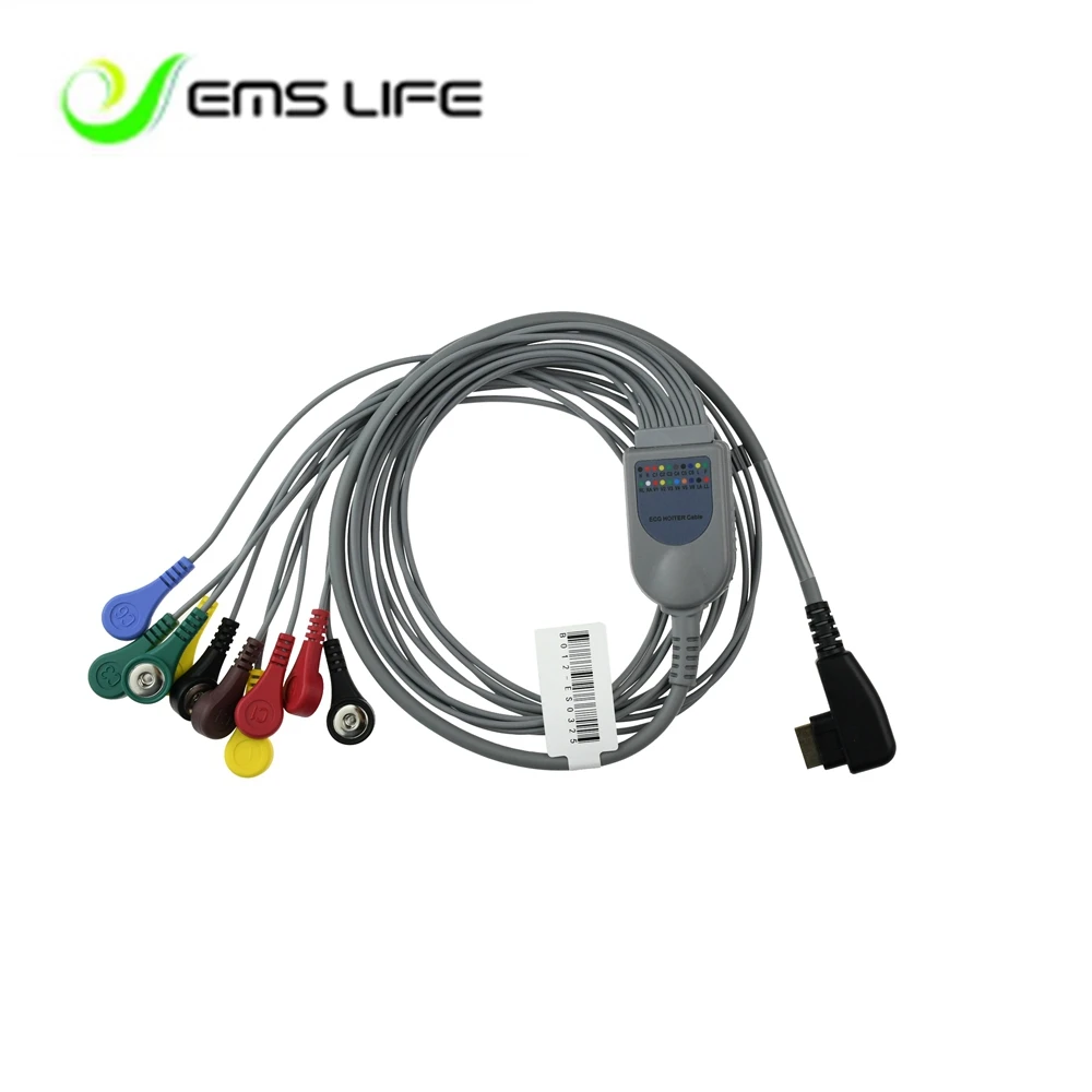 wholesale DMS holter ECG cable 10 leads snap