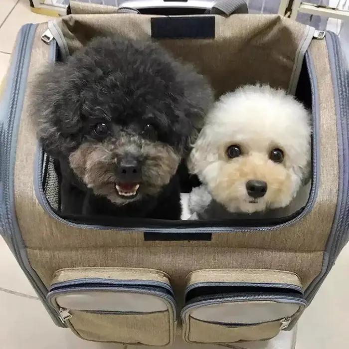 Pet trolley case out portable cat bag double shoulder dog bag cat case out box suitcase