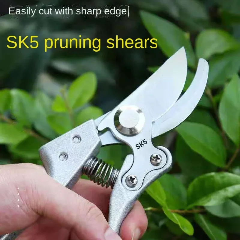 The Professional Gardener's Choice: SK-5 Steel Pruning Shears for Effortless Fruit Tree & Outdoor Trimming