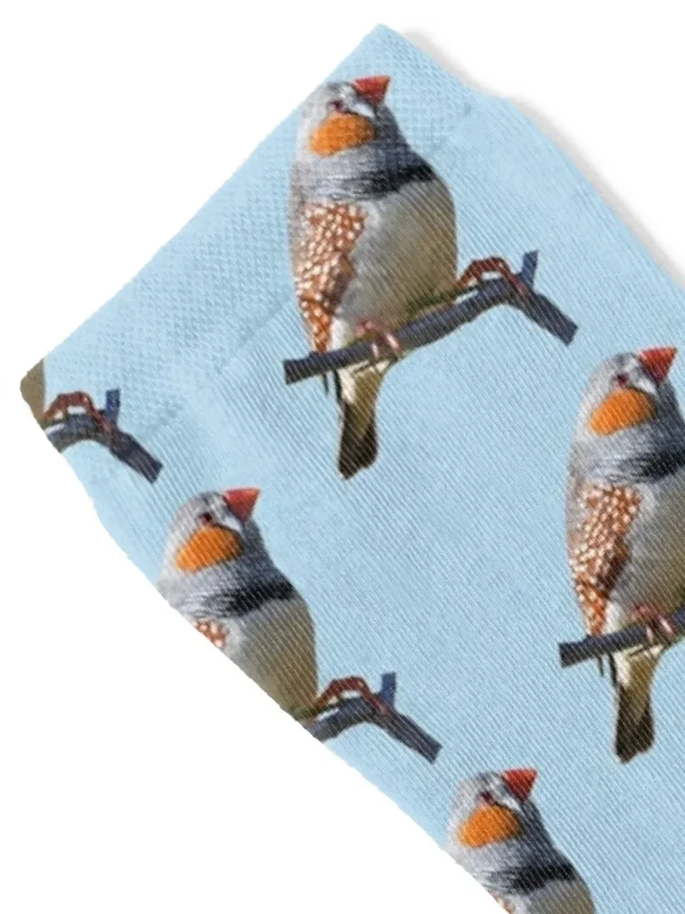 Zebra Finch 3 Socks funny gifts winter gifts Socks For Girls Men's