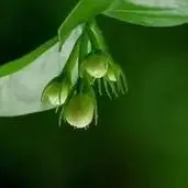 

36 В 9,8 Ач 21700 литиевый аккумулятор с зарядным устройством BMS 10S2P для рыбацкого велосипеда, аккумуляторы большой емкости