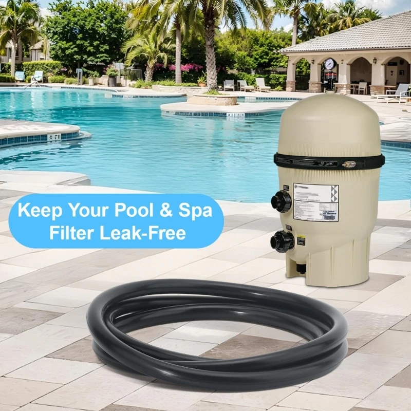 Langlebige Gummi-O-Ring-Dichtungen für CCP 520/420/320 und FNS Plus-Filter, Schwimmbad-Filtertank-Druckdichtung D2RD – Detail 4