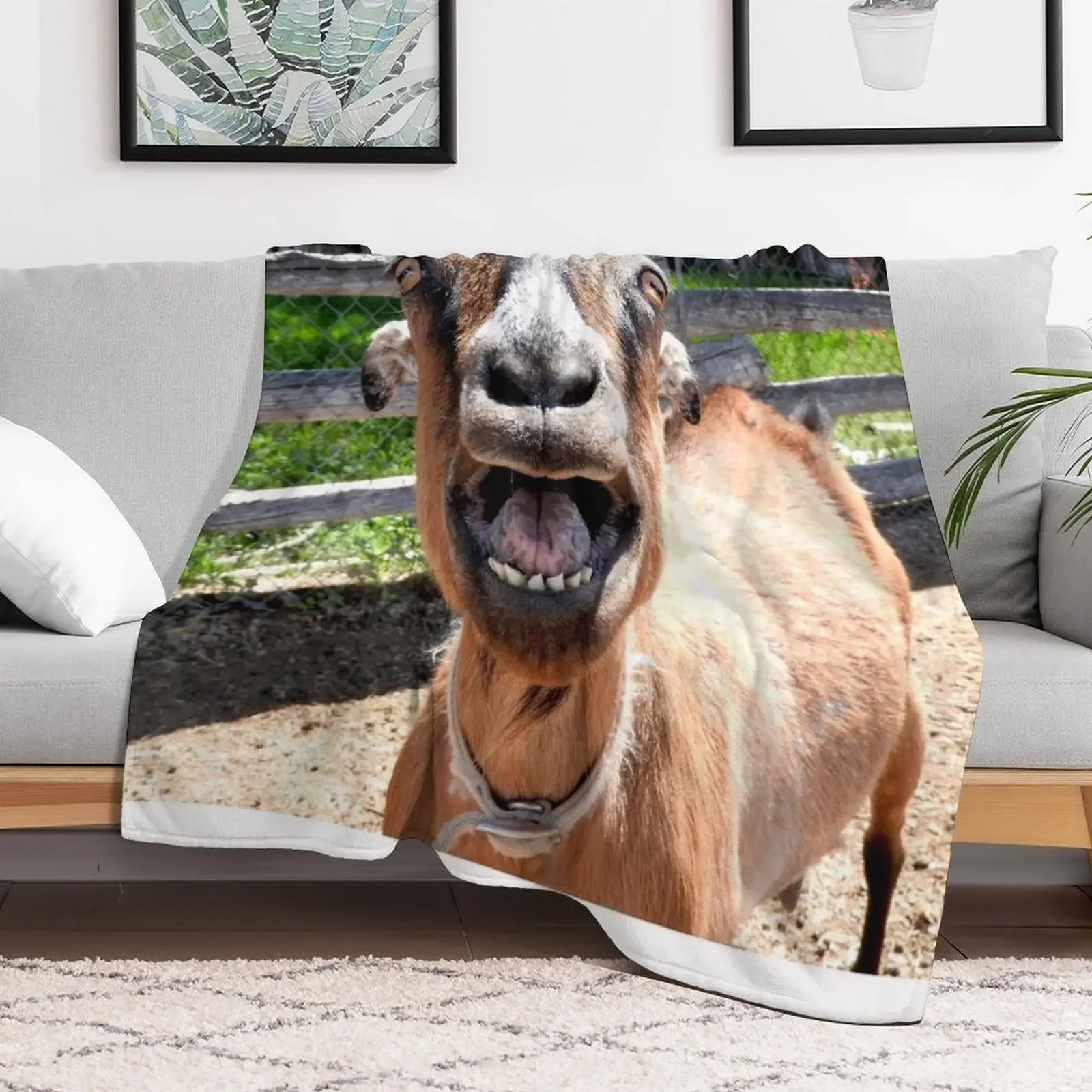 smiling goat, yelling goat, funny goat Throw Blanket No Pilling Soft Warm Blanket for Bed