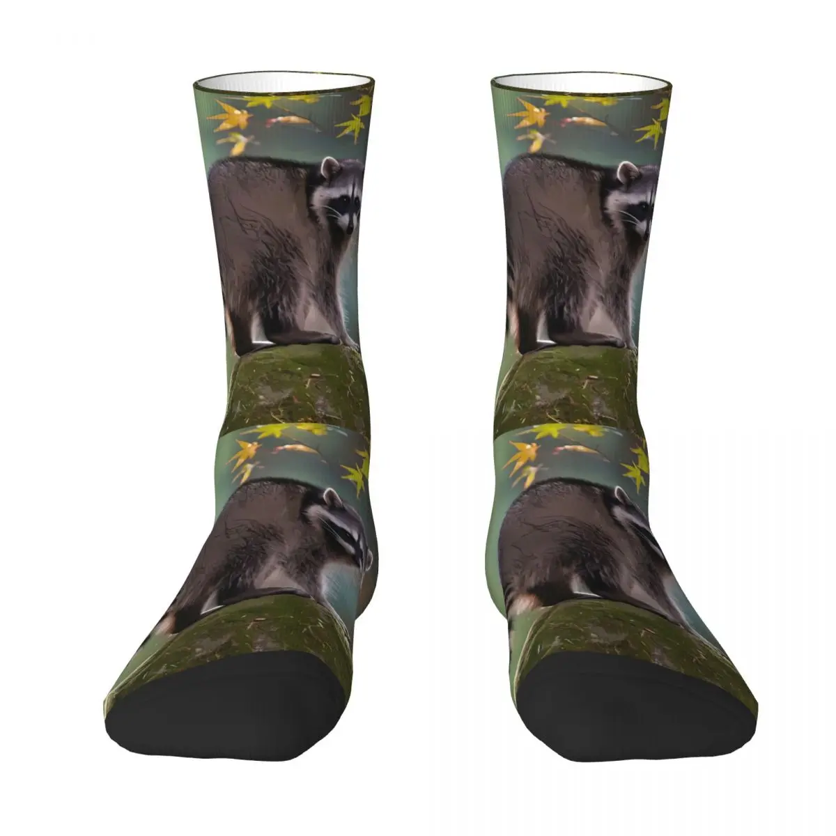 Raccoon Sock Printed Man Polyester