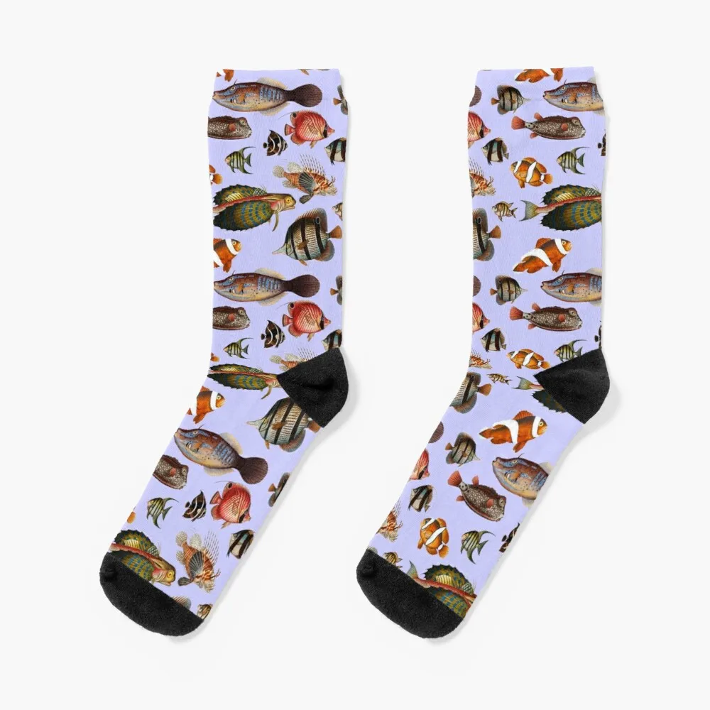 

Colorful Tropical Fish From Exotic Coral Reefs Pattern (periwinkle purple) Socks Sports And Leisure