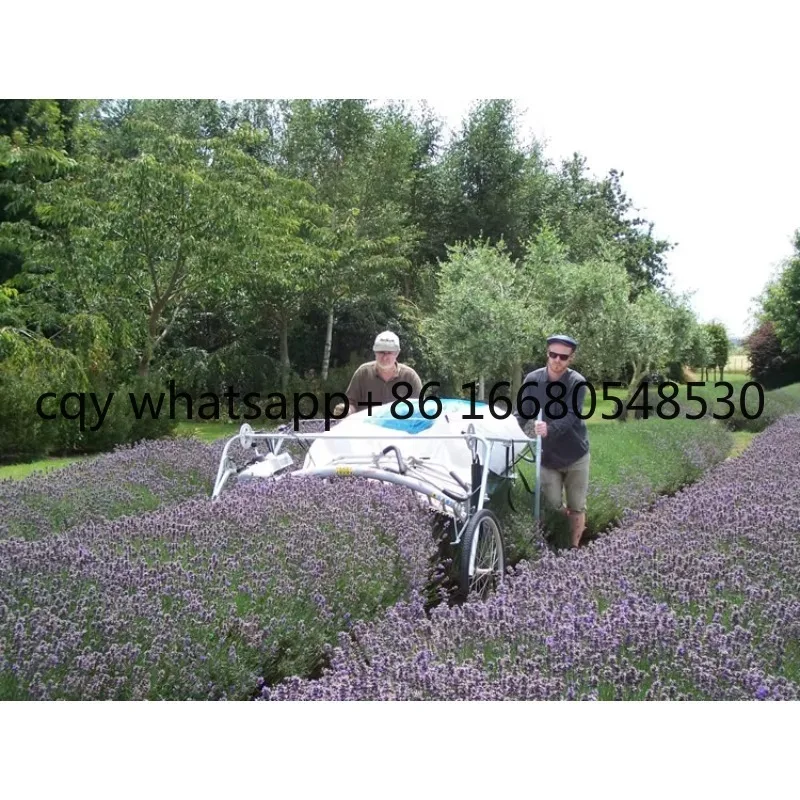 GH Quality High Efficiency Agricultural Leaf Cutting Tea Leaf Lavender Harvester Machine