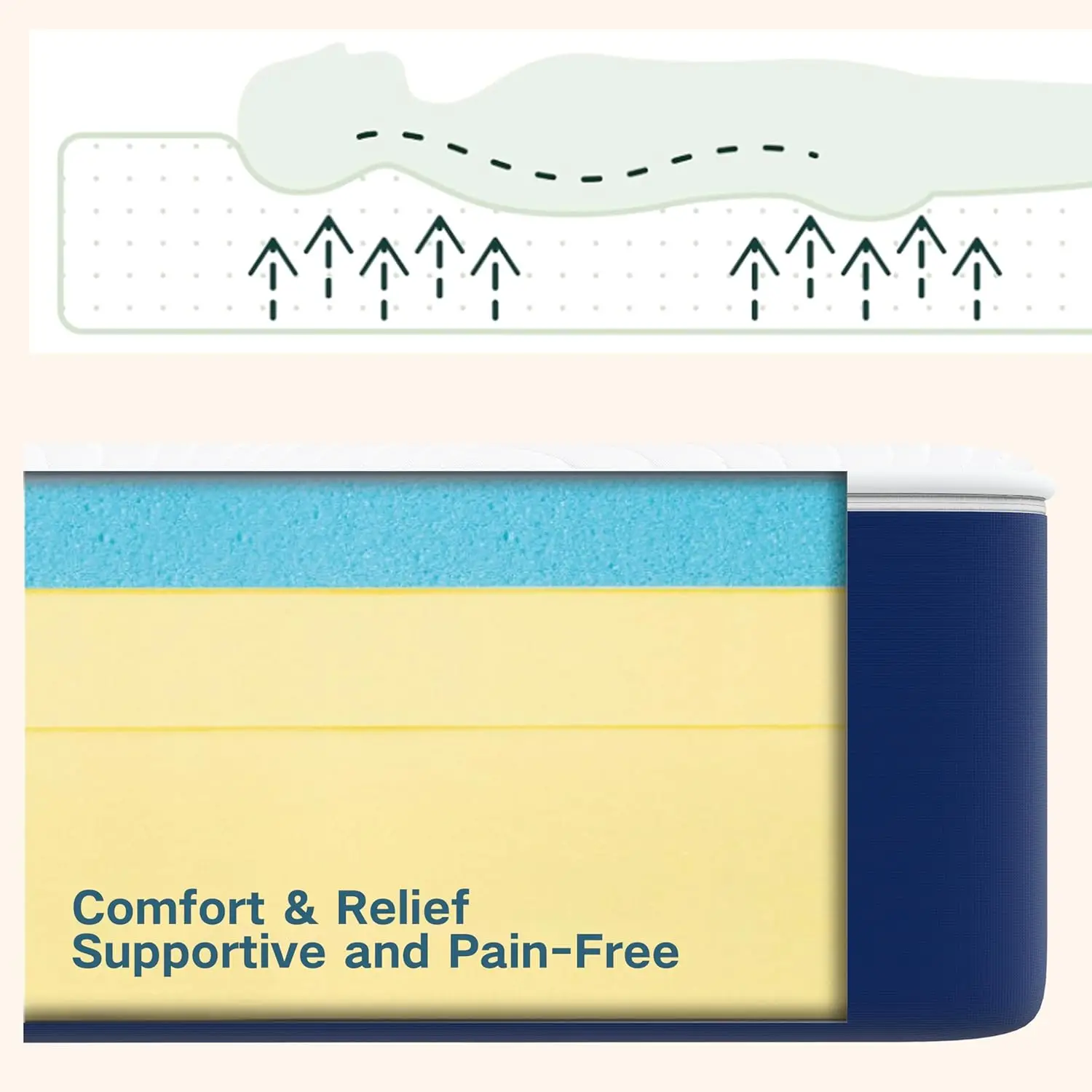 مرتبة فاخرة قابلة للطي من إسفنج الذاكرة الناعم عالي الكثافة، مرتبة إسفنجية مضغوطة، مستشفيات الفنادق المنزلية #4