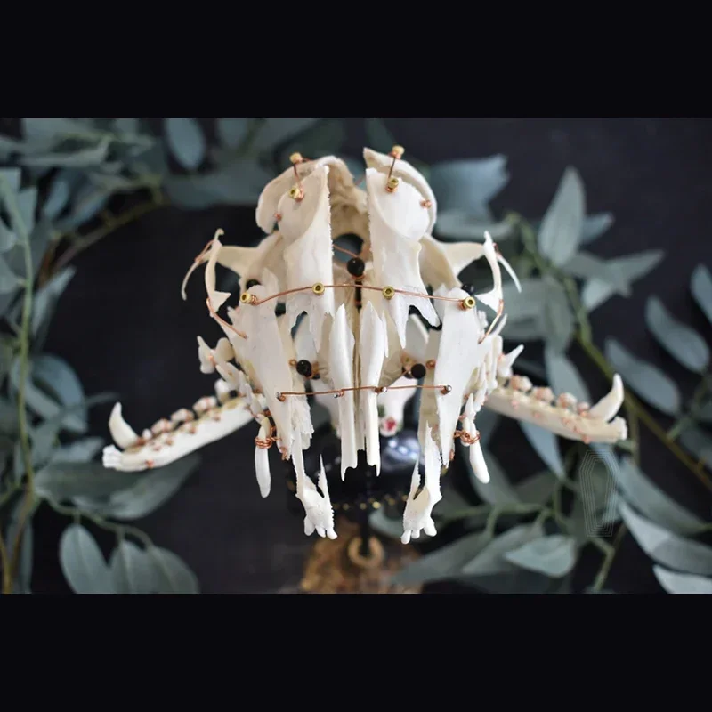 2116 Exploding Skulls Specimens Bochen Skulls Home Decorations Bone Resin Sculptures Crafts Friends Relatives Lovers Gifts