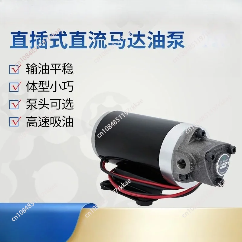 DC 12V/24V  Diesel Oil Pump Electric Hydraulic Pump Small DC Oil Micro Gear Gear Oil Pump Oiler