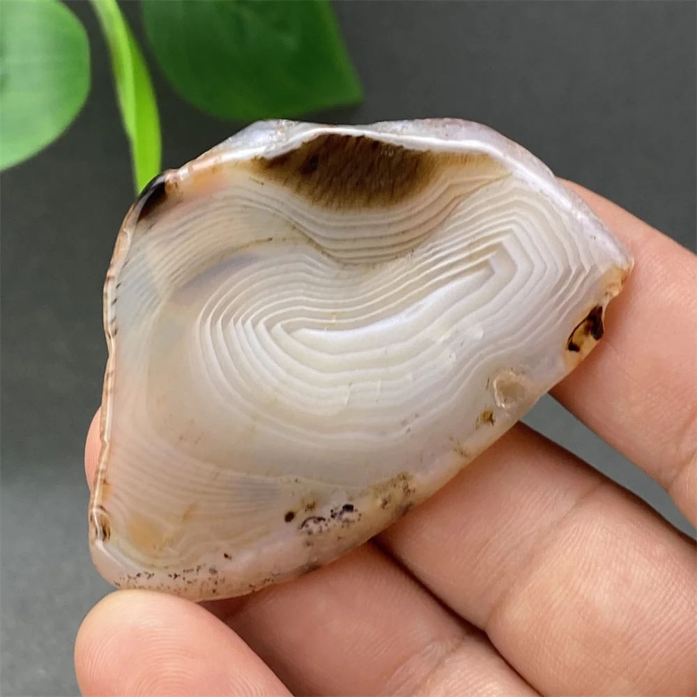 Natural Silk Agate Irregular Slices  Hand-polished Slices  Home Decoration Ornaments