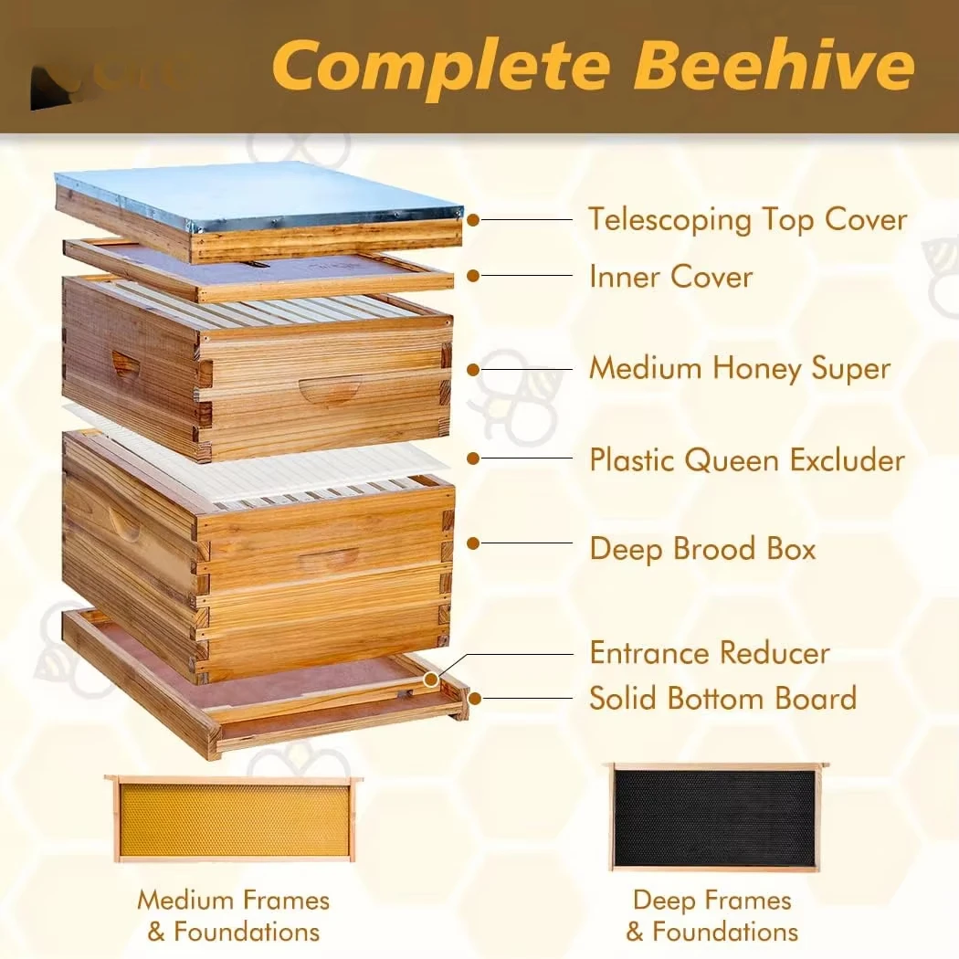 10 Frame Bee Hives and Supplies Starter Kit, Bee Hive for Beginner，1 Super with Beehive Frames and Foundation