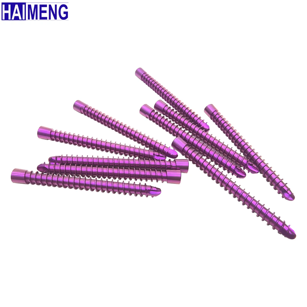 

10pcs 2.4mm TPLO HC Locking Screw, Mascotas Veterinary Orthopedics Implants, Surgical Instruments, Pet Products, Dog Accessories