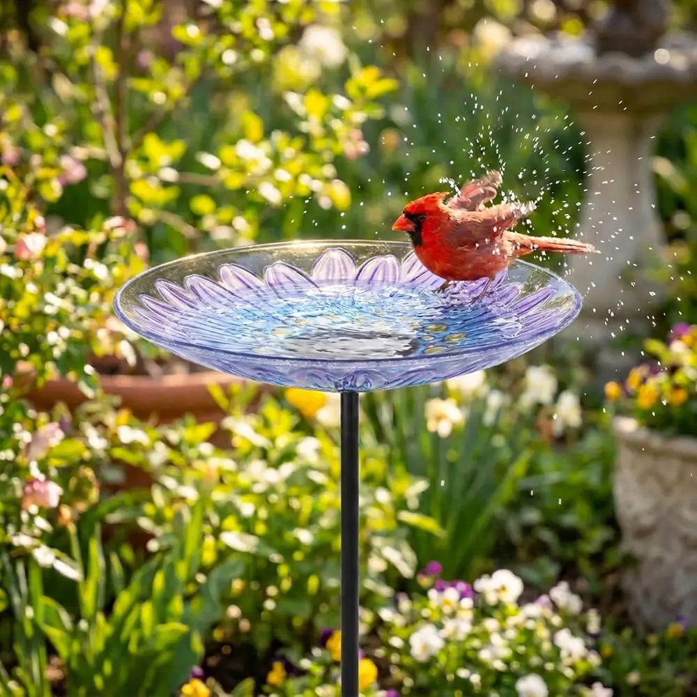 Bird Baths, Glass BirdBaths Metal Stake or Lawn Decor | 25 Inch Height Glass Bird Bath or Outside, Daisy Birdbaths Bowl, Bird Fe