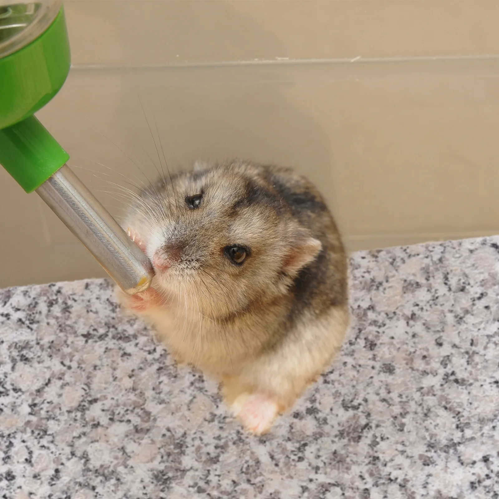 

1Pcs Hamster Cooling Board Premium Marble Material Resistant Pet Cooling Plate for Small Animals Summer Relief Cool