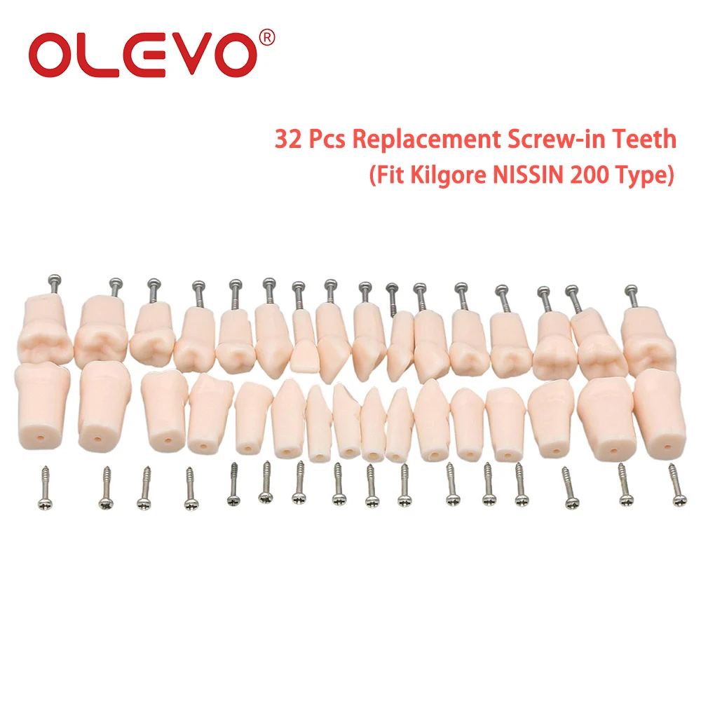 OLEVO Typodont Dental Replacement Screw-in Teeth Teaching Model Removable Fit Kilgore NISSIN 200/500 Type Dentist Accessories