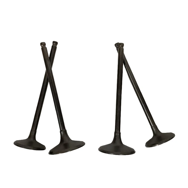 Motorcycle Intake Exhaust Valves Engine Part For Kawasaki KLX 300 KLX300 Engine KLX 250 KLX250 KAWASAKI BR250 Z250SL