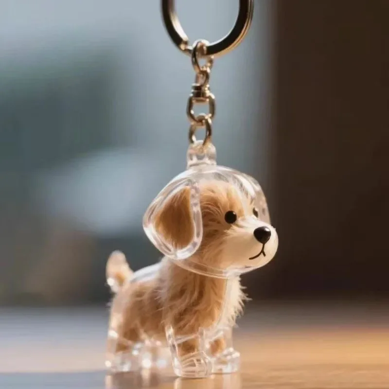Transparenter Aufbewahrungsbehälter für Hundehaare, bezaubernder Haustier-Andenken-Kapsel-Anhänger mit Schlüsselring für Haustierliebhaber, DIY-Gedenkschlüsselanhänger