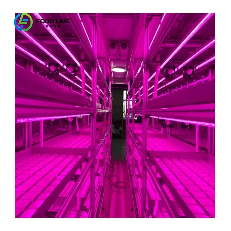 Customized 40FT Container Greenhouse Smart NFT Vertical Hydroponics System Shipping Container Farm for Growing Microgreens